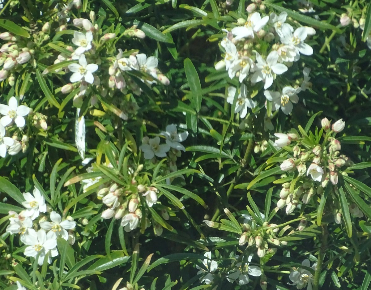 4 Party Looks Perfect For Spring